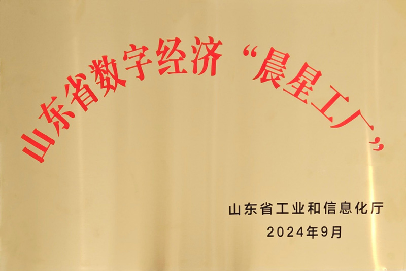 山東省數字經濟“星星工廠”