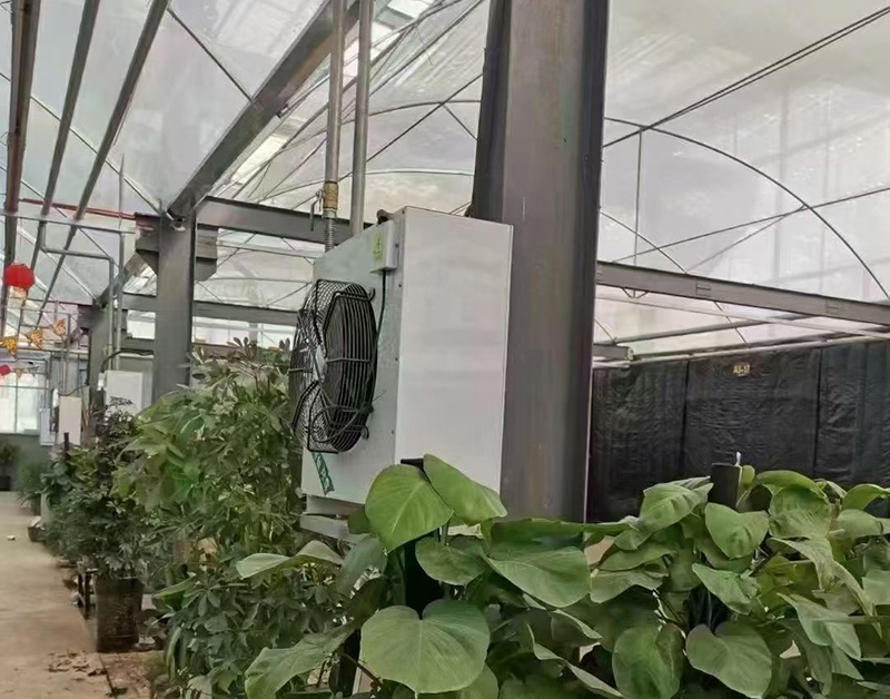 發財樹巴西木養殖大棚用暖風機.jpg